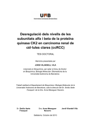 Desregulació dels nivells de les quinasa CK2 en carcinoma renal de