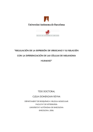 “REGULACIÓN DE LA EXPRESIÓN DE VERSICANO Y SU RELACIÓN