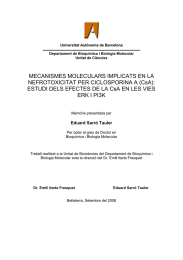 MECANISMES MOLECULARS IMPLICATS EN LA NEFROTOXICITAT PER CICLOSPORINA A (CsA):