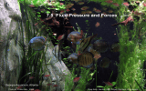 7.5  Fluid Pressure and Forces Georgia Aquarium, Atlanta