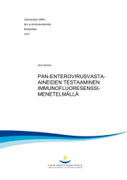 PAN-ENTEROVIRUSVASTA- AINEIDEN TESTAAMINEN IMMUNOFLUORESENSSI- MENETELMÄLLÄ