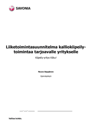 Liiketoimintasuunnitelma kalliokiipeily- toimintaa tarjoavalle yritykselle  Kiipeily-yritys Kiiku!