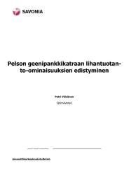 Pelson geenipankkikatraan lihantuotan- to-ominaisuuksien edistyminen  Petri Väisänen