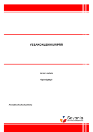 VESAKONLEIKKURIPÄÄ Jarno Louhela Opinnäytetyö Ammattikorkeakoulututkinto