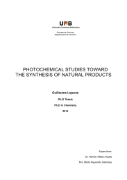 PHOTOCHEMICAL STUDIES TOWARD THE SYNTHESIS OF NATURAL PRODUCTS  Guillaume Lejeune