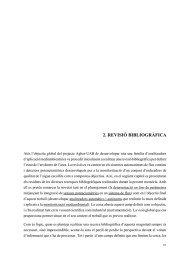 2. REVISIÓ BIBLIOGRÀFICA