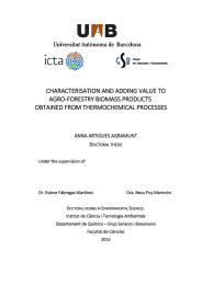 CHARACTERISATION AND ADDING VALUE TO AGRO-FORESTRY BIOMASS PRODUCTS OBTAINED FROM THERMOCHEMICAL PROCESSES