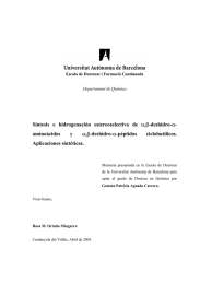 Síntesis e hidrogenación estereoselectiva de aminoácidos y Aplicaciones sintéticas. ,