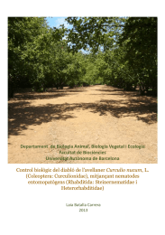 Departament  de Biologia Animal, Biologia Vegetal i Ecologia