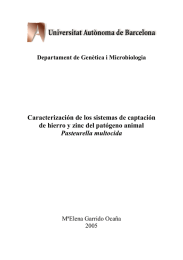 Caracterización de los sistemas de captación Pasteurella multocida