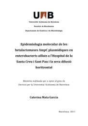 Epidemiologia molecular de les  betalactamases AmpC plasmídiques en  enterobacteris aïllats a l’Hospital de la 