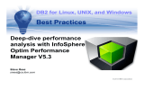 Best Practices Deep-dive performance analysis with InfoSphere Optim Performance