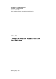 Saimaan ammattikorkeakoulu Tekniikka Lappeenranta Rakennustekniikka Rakennesuunnittelun suuntautumisvaihtoehto