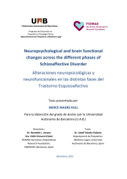 Neuropsychological and brain functional changes across the different phases of Schizoaffective Disorder