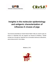 Insights in the molecular epidemiology and antigenic characterization of