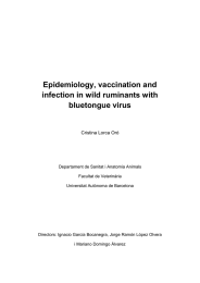 Epidemiology, vaccination and infection in wild ruminants with bluetongue virus Cristina Lorca Oró