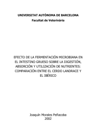 EFECTO DE LA FERMENTACIÓN MICROBIANA EN ABSORCIÓN Y UTILIZACIÓN DE NUTRIENTES: