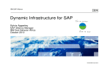 Dynamic Infrastructure for SAP Sylvia Apperley SAP Alliance Manager IBM Sub-Saharan Africa