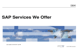 SAP Services We Offer Last update: 03-25-2010  by MK