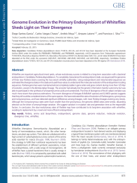 Genome Evolution in the Primary Endosymbiont of Whiteflies Diego Santos-Garcia