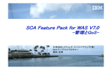 SCA Feature Pack for WAS V7.0 - 管理と QoS