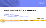 Lotus Notes/Domino 8.5.1  新機能概要 2009 年 11 月 13 日 日本アイ･ビー･エム株式会社