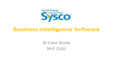 Business Intelligence Software BI Case Study MIS 2502