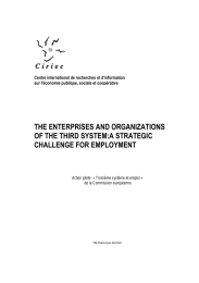 THE ENTERPRISES AND ORGANIZATIONS OF THE THIRD SYSTEM:A STRATEGIC CHALLENGE FOR EMPLOYMENT