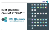 IBM Bluemix ハンズオン・セミナー 1 © 2015 IBM Corporation