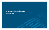 Information Server Roadmap