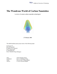 The Wondrous World of Carbon Nanotubes 27 February 2003