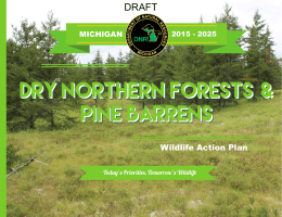 Dry Northern Forests &amp; Pine Barrens