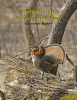 Ruffed Grouse Conservation Plan Executive Report prepared by Dessecker, Norman  and Williamson