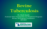 Bovine Tuberculosis Dr. Rick Smith Assistant State Veterinarian over Ruminant Programs