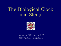 The Biological Clock  James Olcese, PhD FSU College of Medicine