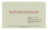 The EPA Lead and Copper Rule: Strengths, Loopholes, and Visions for Revisions