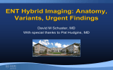 ENT Hybrid Imaging: Anatomy, Variants, Urgent Findings David M Schuster, MD