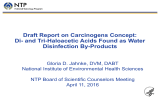 Draft Report on Carcinogens Concept: Disinfection By-Products