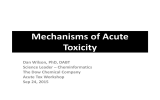 Mechanisms of Acute Toxicity