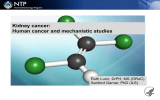 Kidney cancer: Human cancer and mechanistic studies Ruth Lunn, DrPH, MS (ORoC)