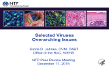 Selected Viruses Overarching Issues Gloria D. Jahnke, DVM, DABT