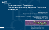 Exposure and Dosimetry Considerations for Adverse Outcome Pathways
