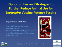 Opportunities and Strategies to Further Reduce Animal Use for Leptospira