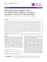 Putting the pieces together: How is the mitochondrial pathway of apoptosis