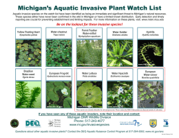 Michigan’s Aquatic Invasive Plant Watch List