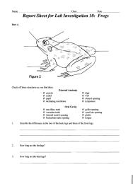 Report Sheet for  Lab Investigation 10:  Frogs Name Date Class