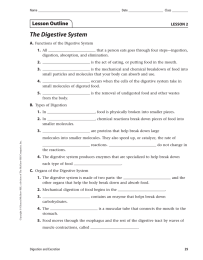 The Digestive System A. 1.