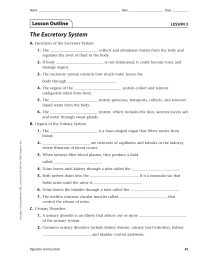 The Excretory System Lesson Outline LESSON 3 A.