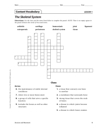 The Skeletal System Content Vocabulary Clues