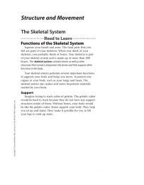 Structure and Movement The Skeletal System Functions of the Skeletal System